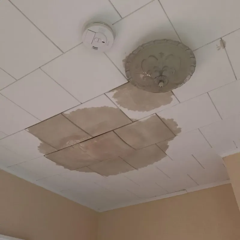 Ceiling Water Damage Repair in Fitchburg, MA