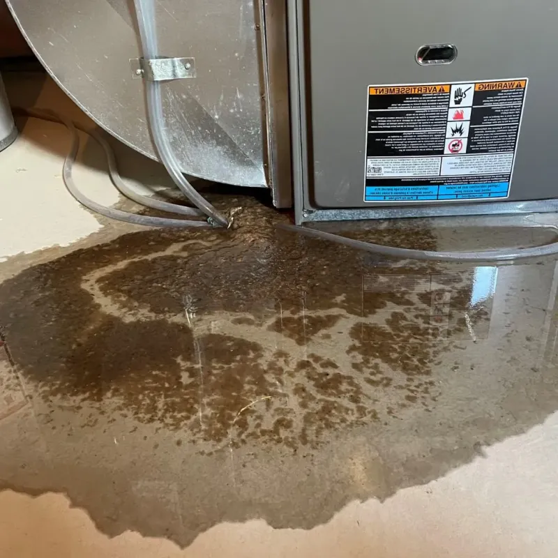 Pipe Burst and Leak Restoration in Fitchburg, MA