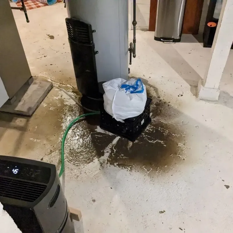 Sewage Backup Cleanup Service in Fitchburg, MA